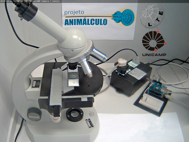 Microscópio Remoto - Parasitologia